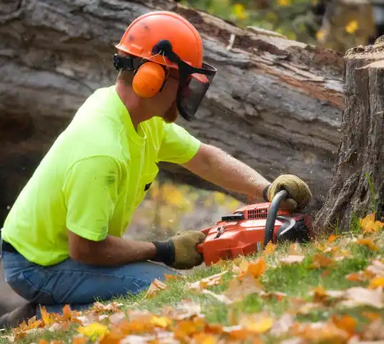 tree services Grifton